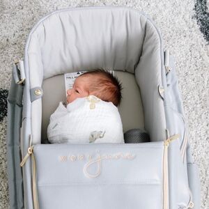 Mory June Baby Bassinet in Gray